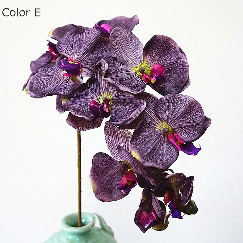 Miniature 5