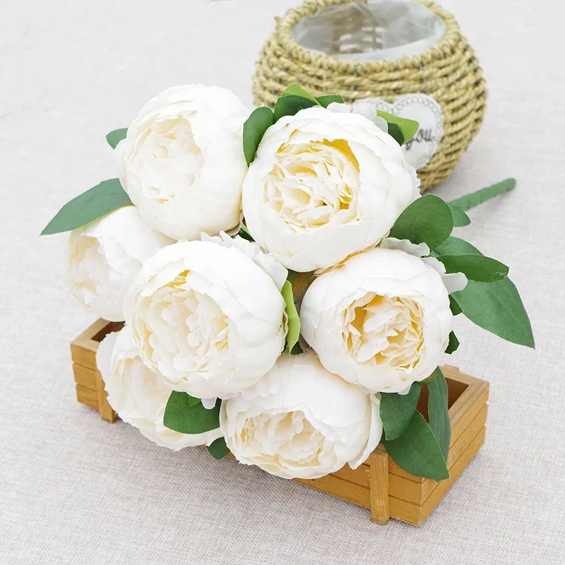 Miniature 5