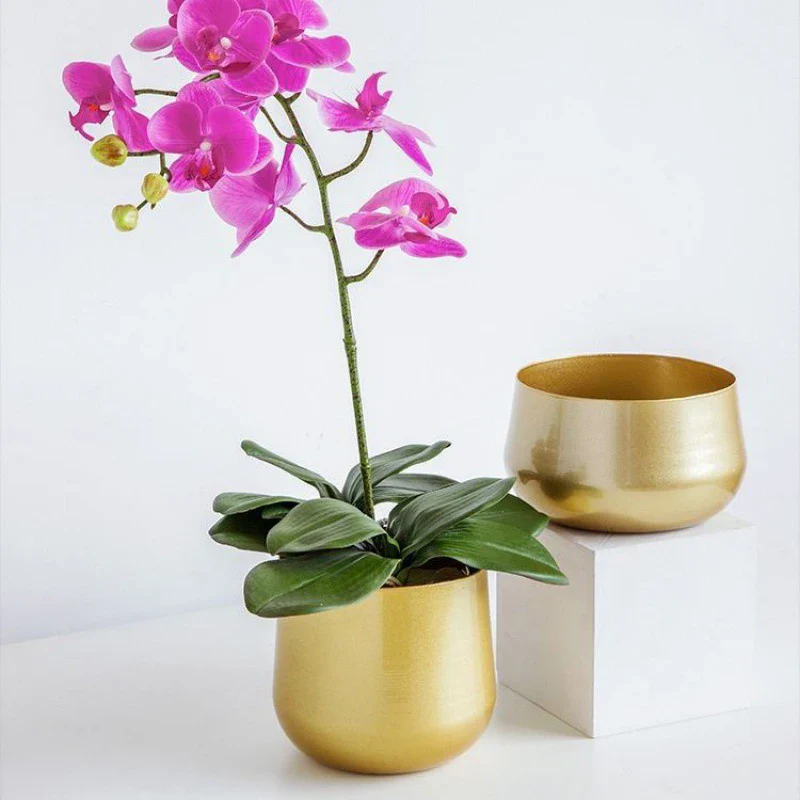 Miniature 4