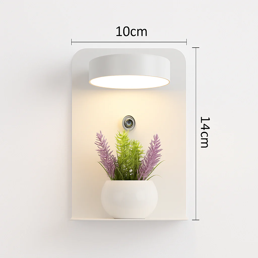 Miniature 12
