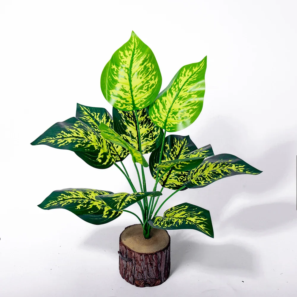 Miniature 6