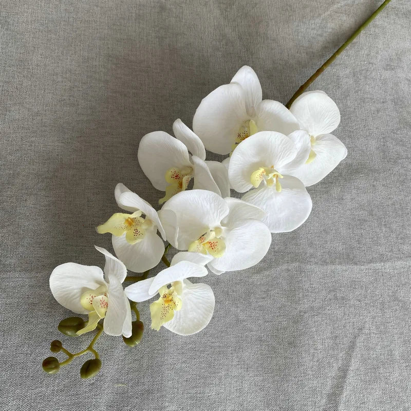 Miniature 7