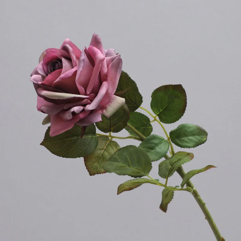Miniature 6