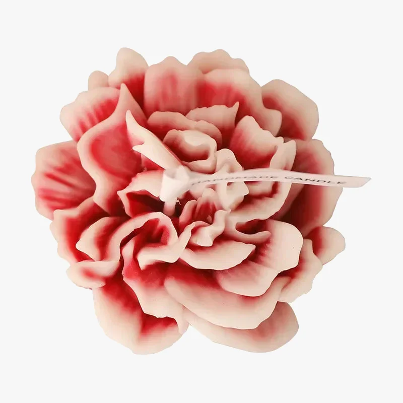 Miniature 6
