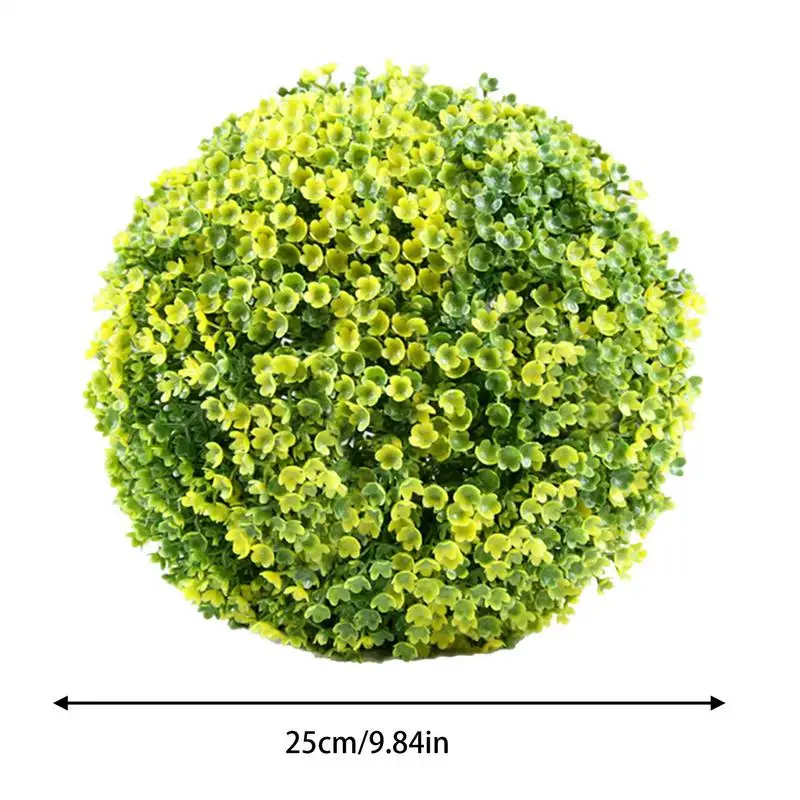 Miniature 5