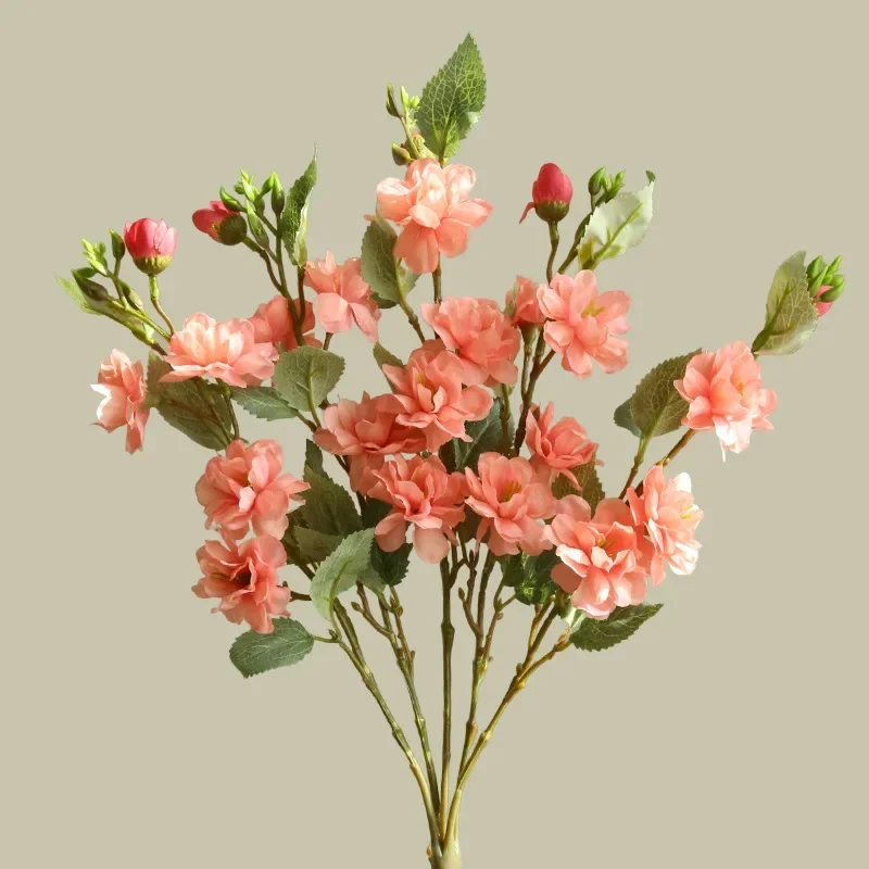Miniature 7