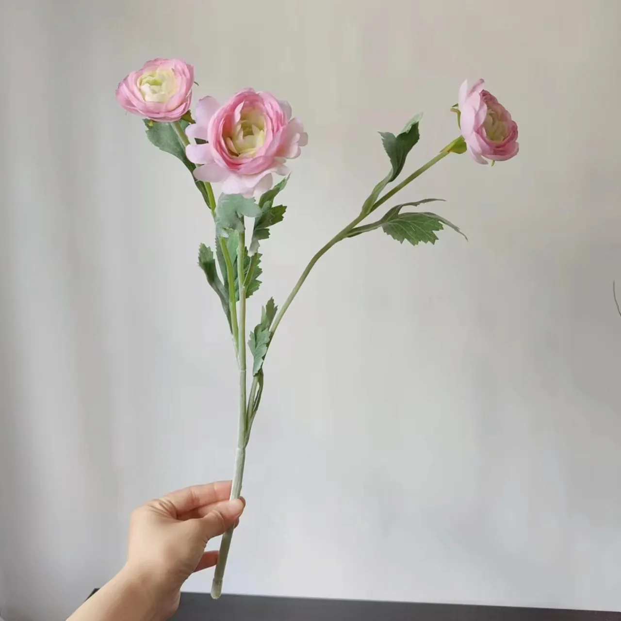 Miniature 7