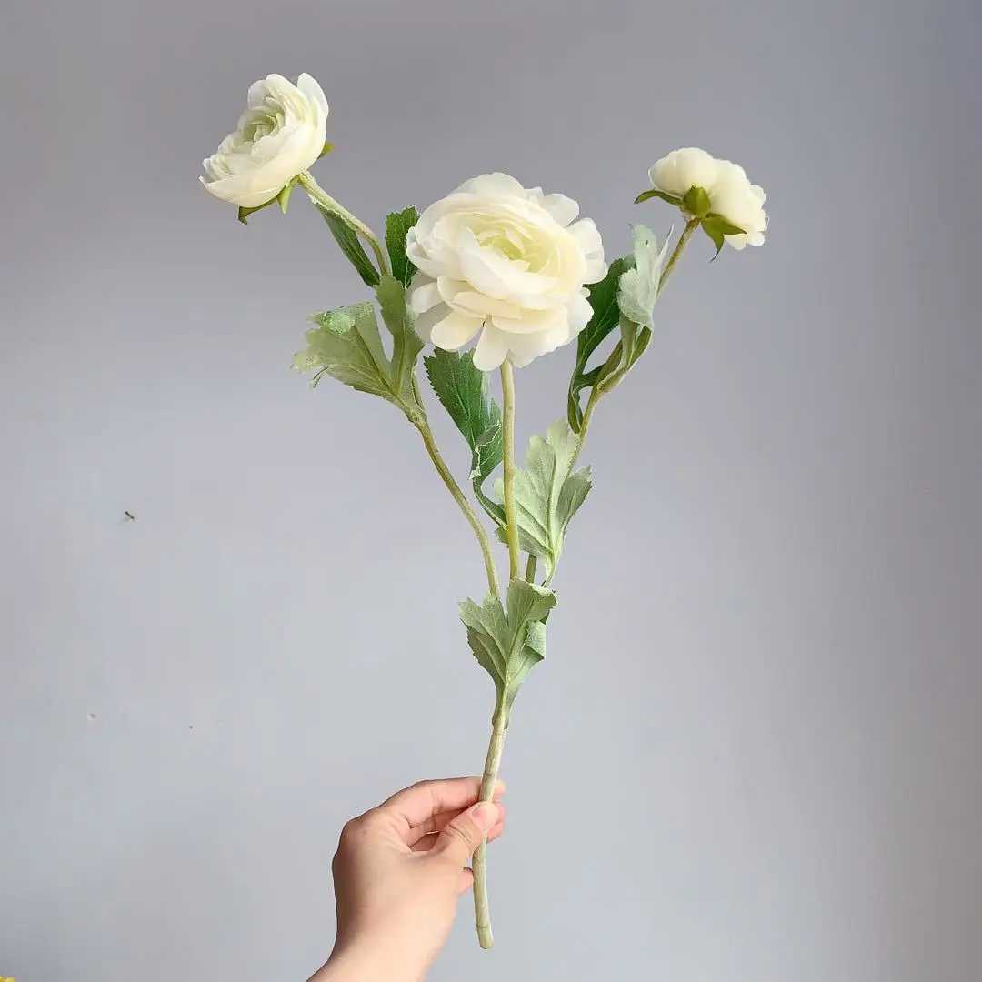 Miniature 8