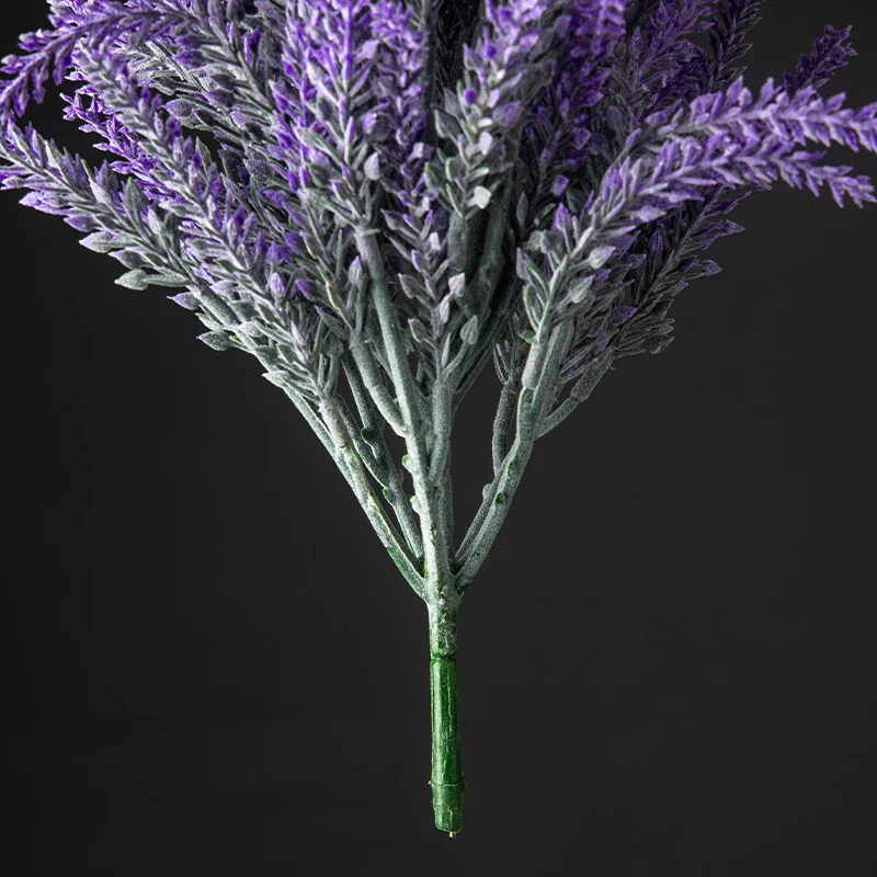 Miniature 5