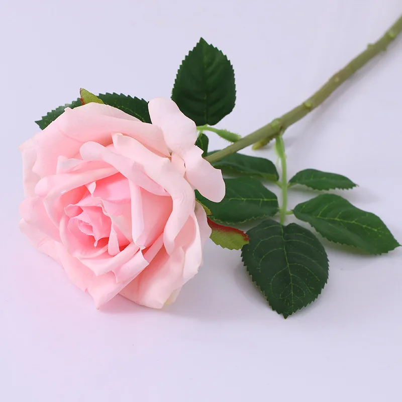 Miniature 10
