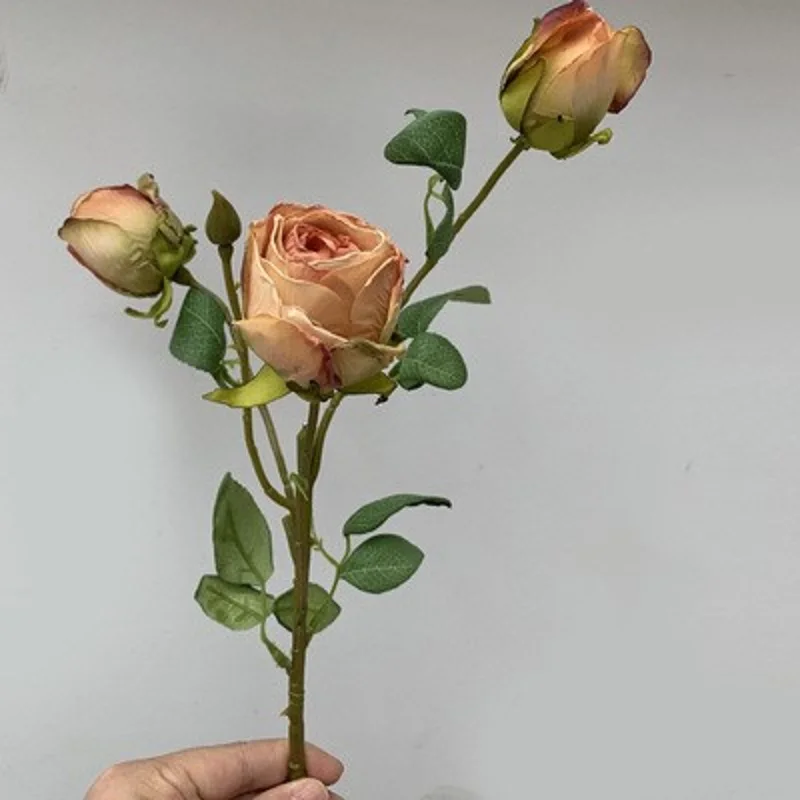 Miniature 5
