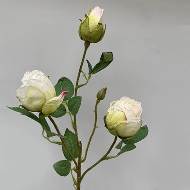 Miniature 6