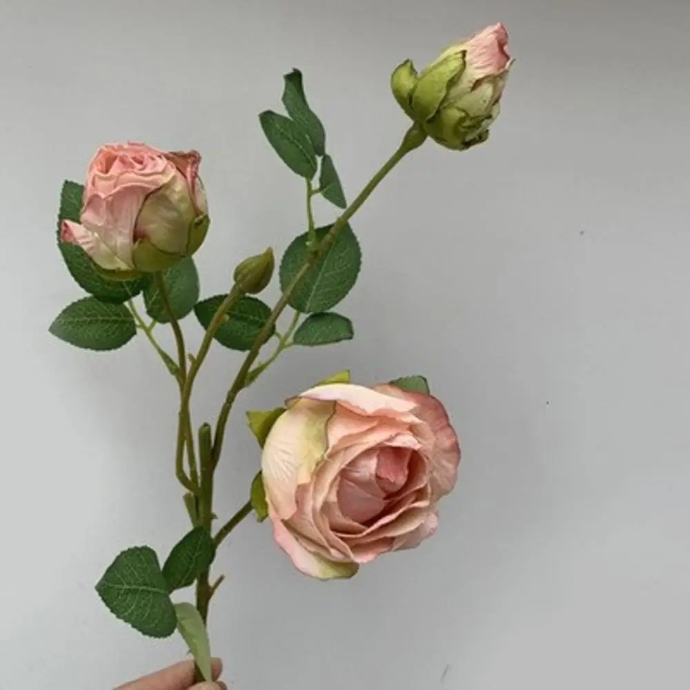 Miniature 7