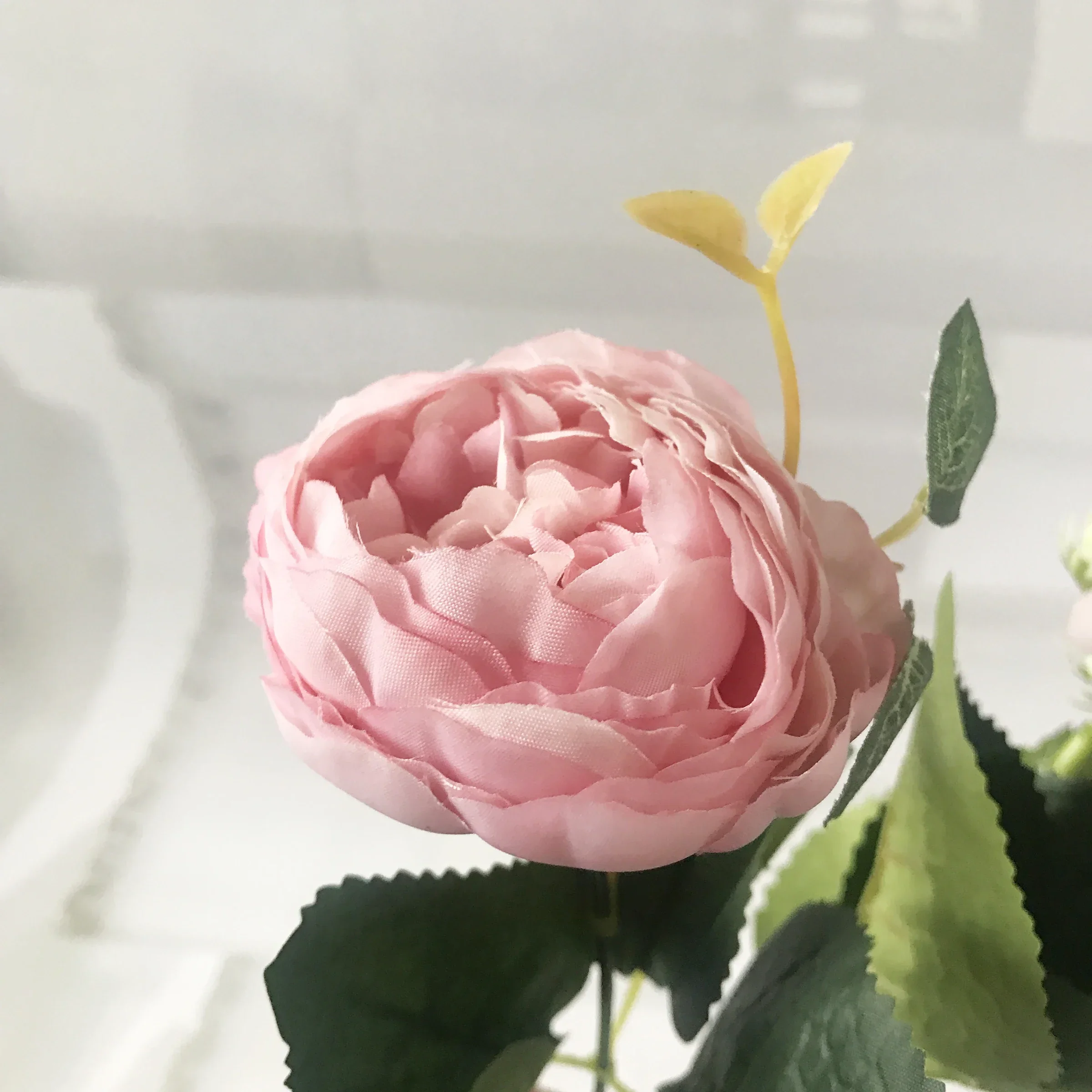 Miniature 5