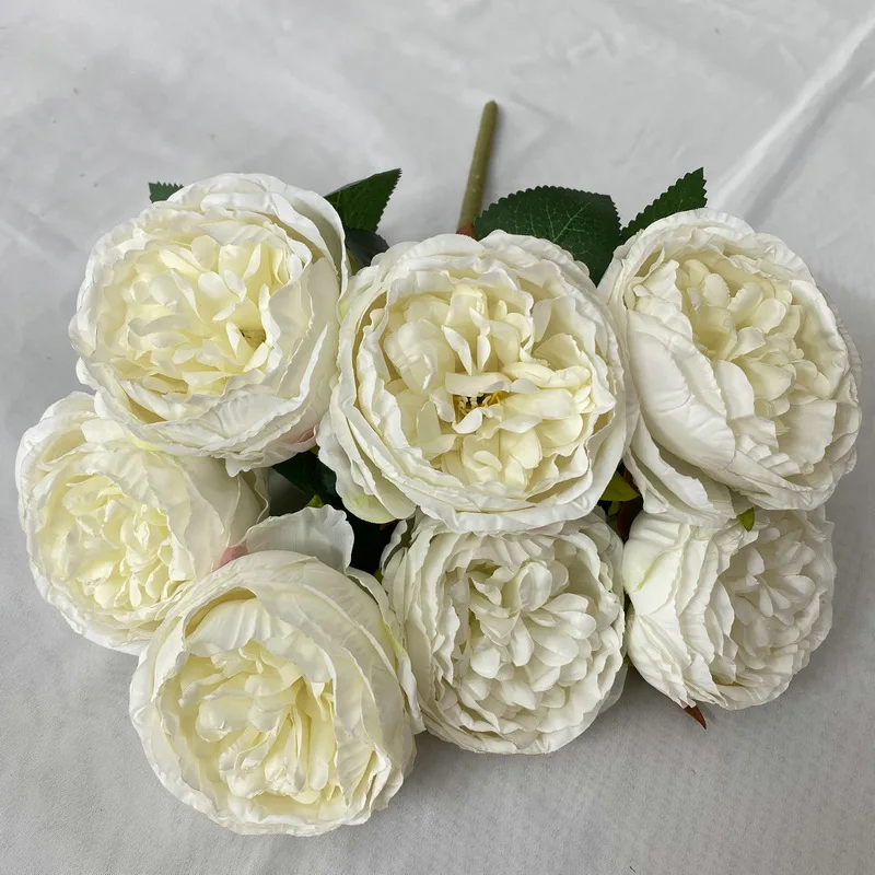 Miniature 6