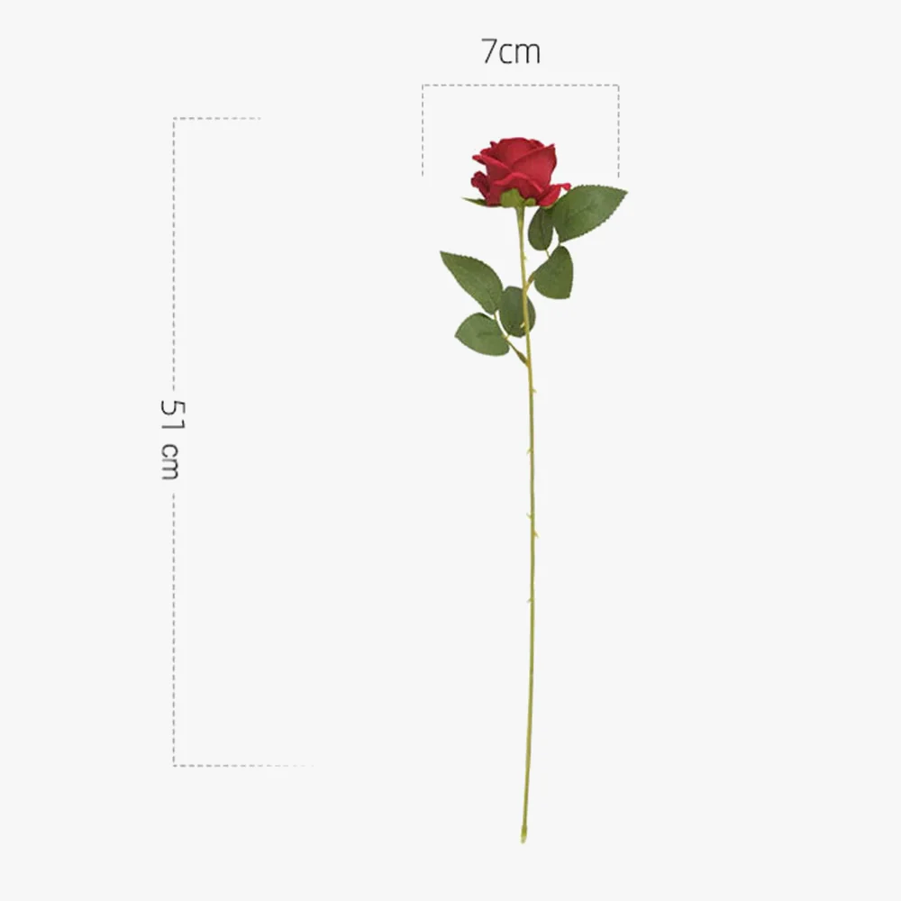 Miniature 4
