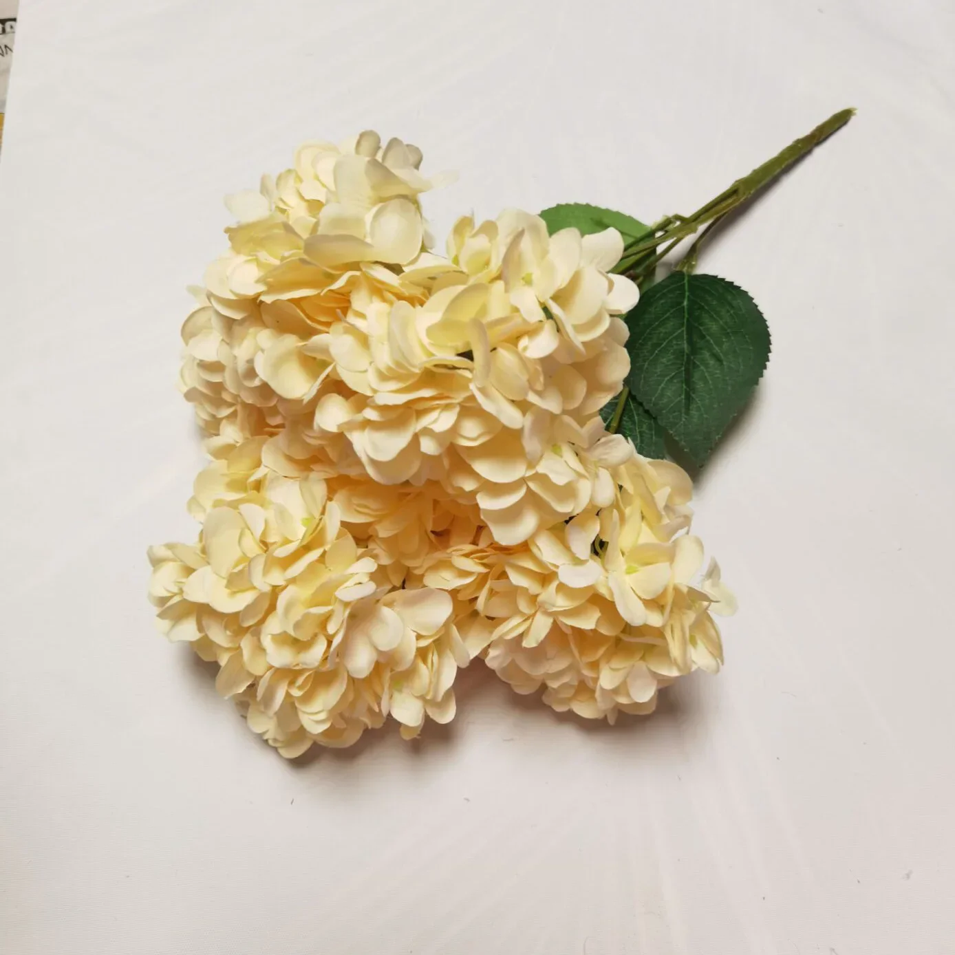 Miniature 7