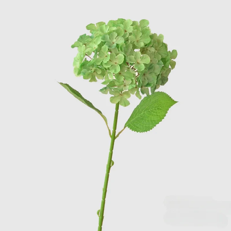 Miniature 10