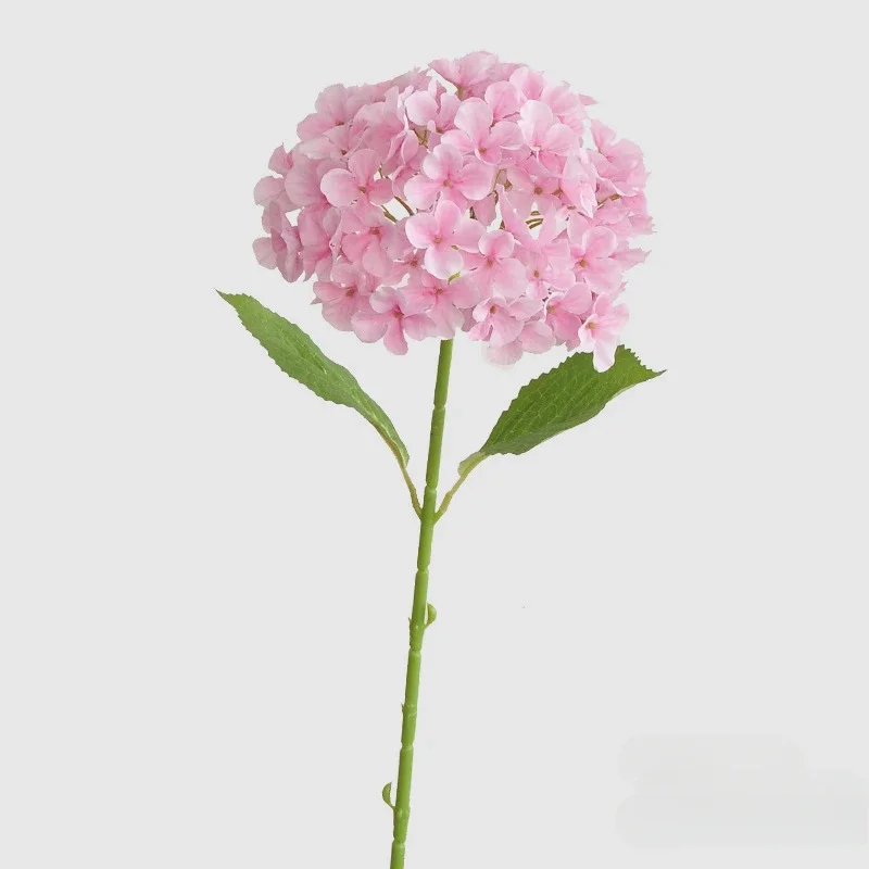 Miniature 11
