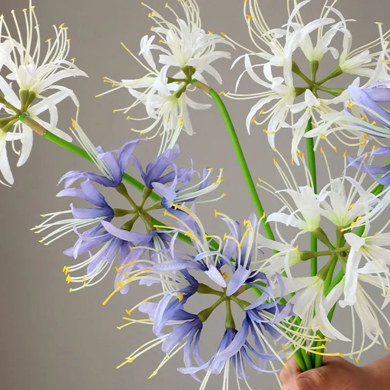 Miniature 5