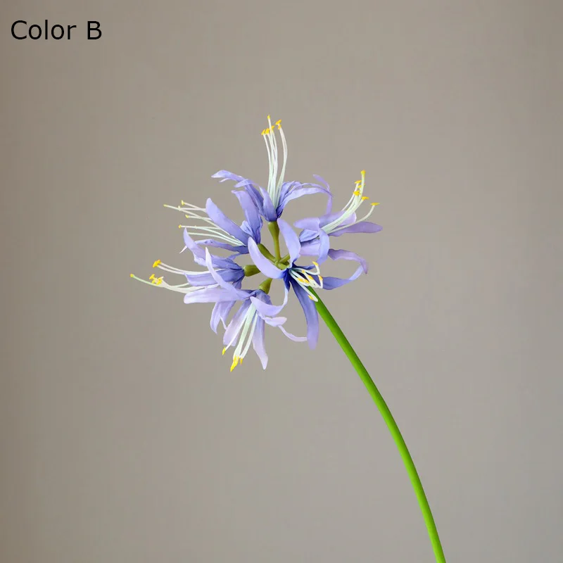 Miniature 8