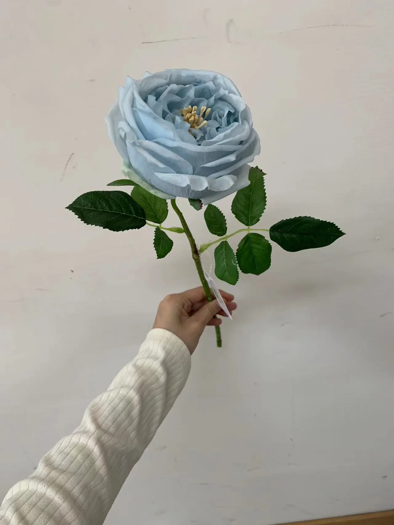 Miniature 10