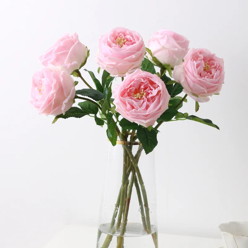 Miniature 5