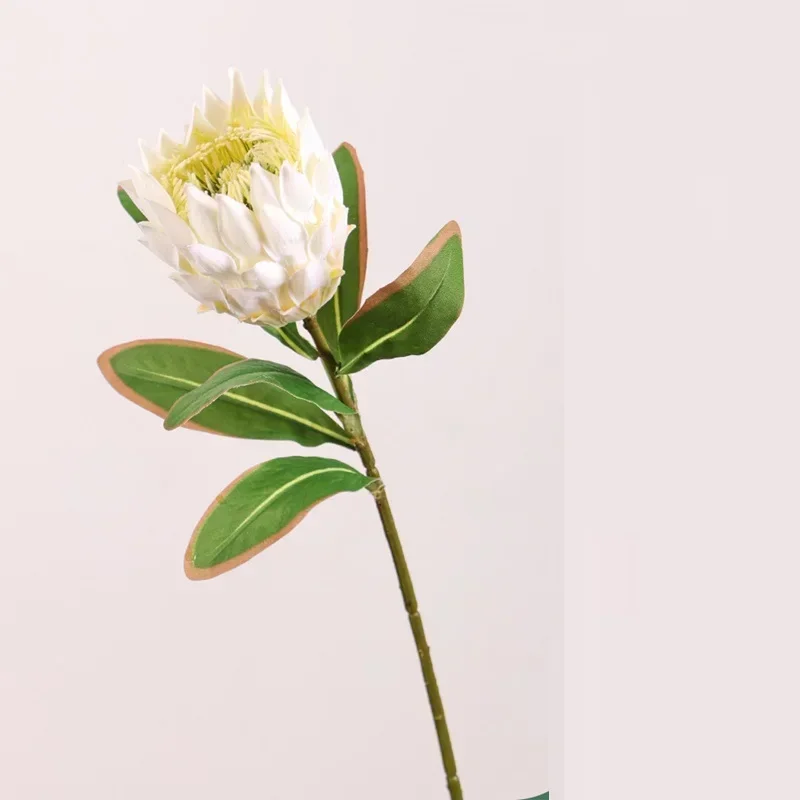 Miniature 11