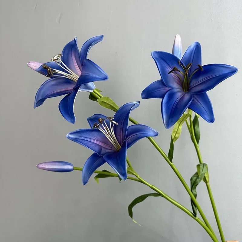 Miniature 4