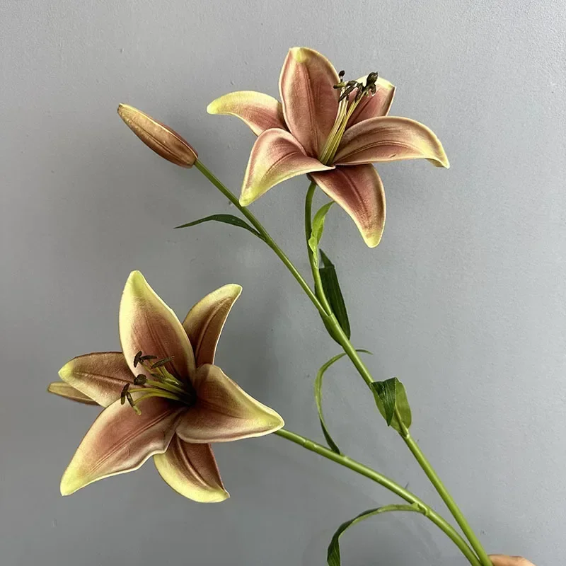 Miniature 5
