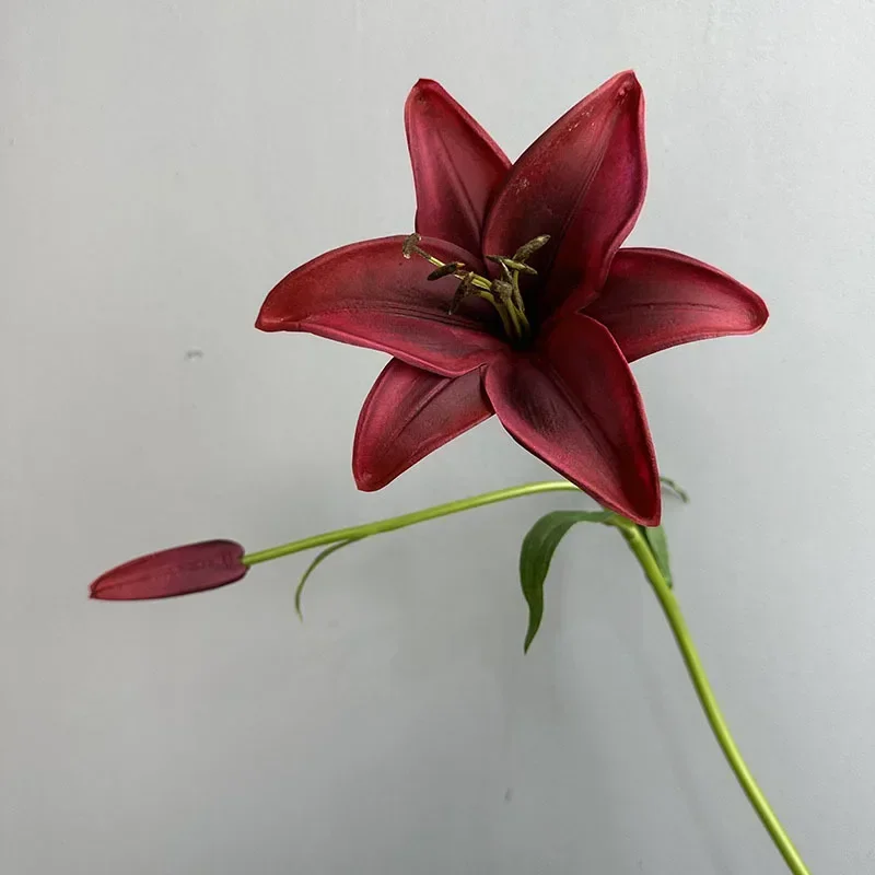 Miniature 7
