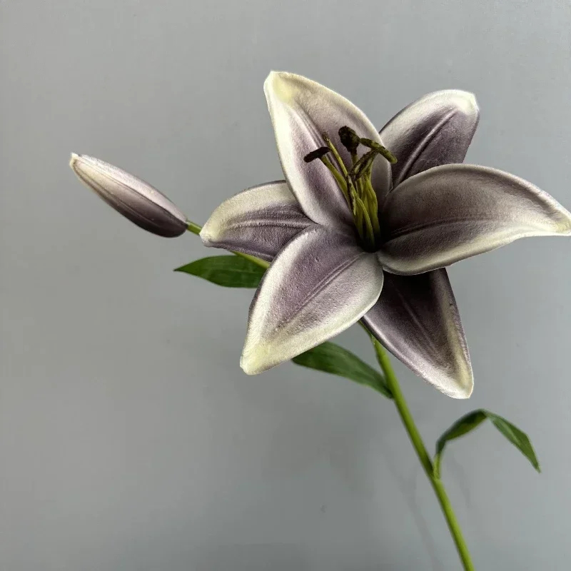 Miniature 9