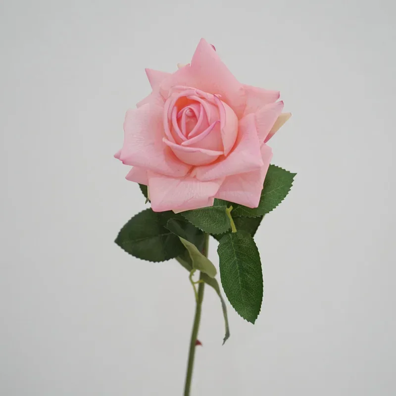 Miniature 10