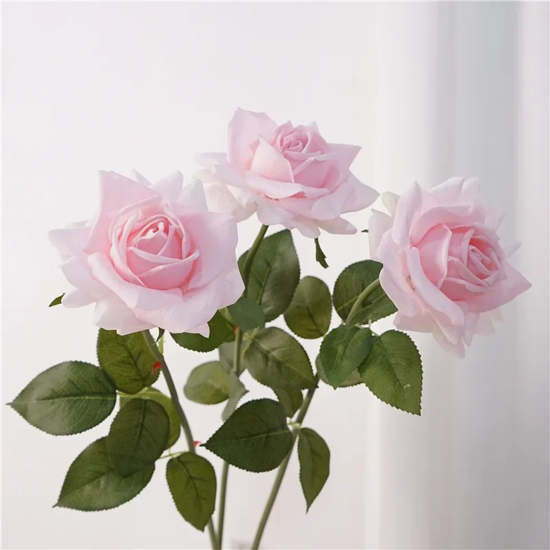 Miniature 4