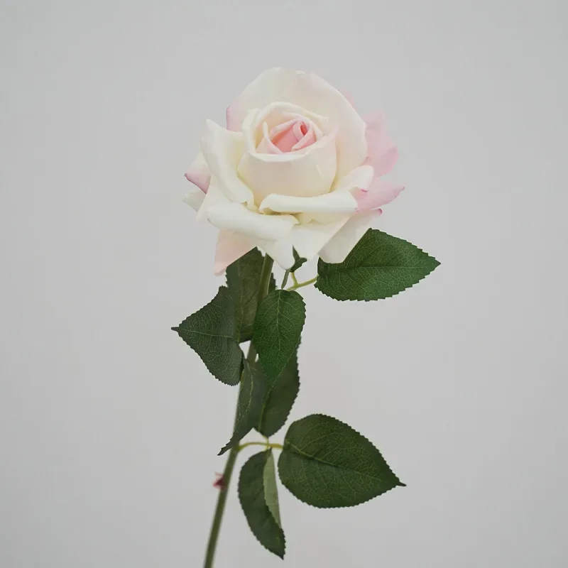 Miniature 6
