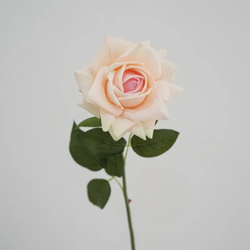Miniature 7