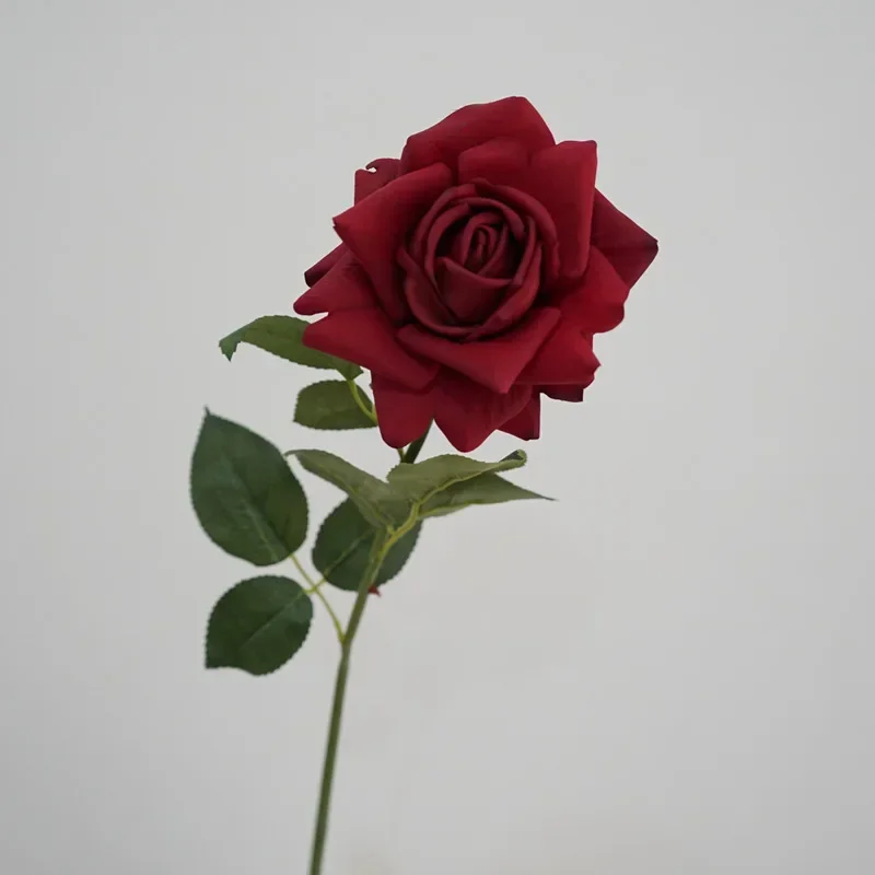 Miniature 8