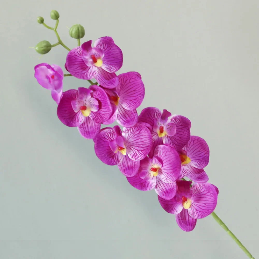 Miniature 7