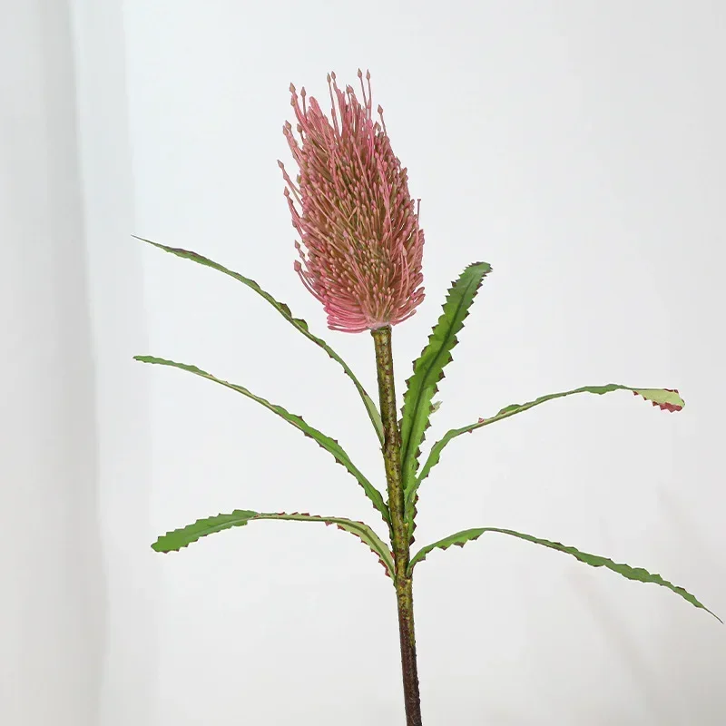 Miniature 24