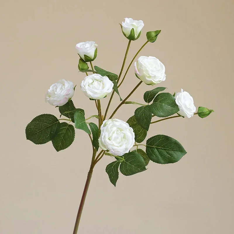 Miniature 5