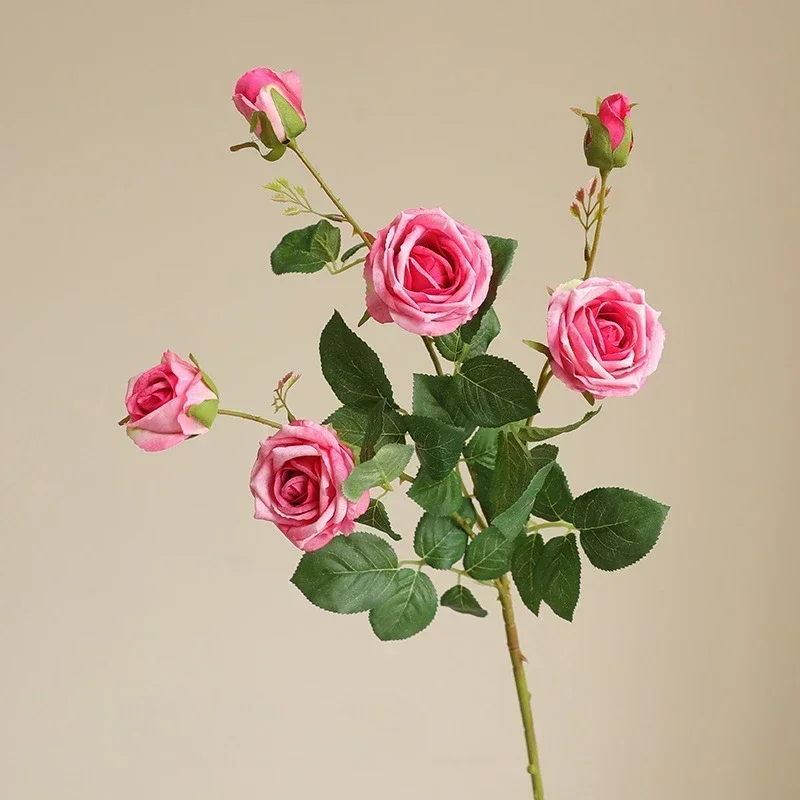 Miniature 9