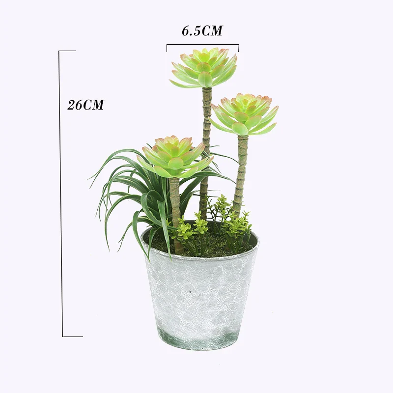 Miniature 7