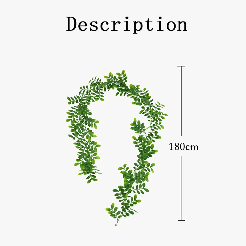 Miniature 5