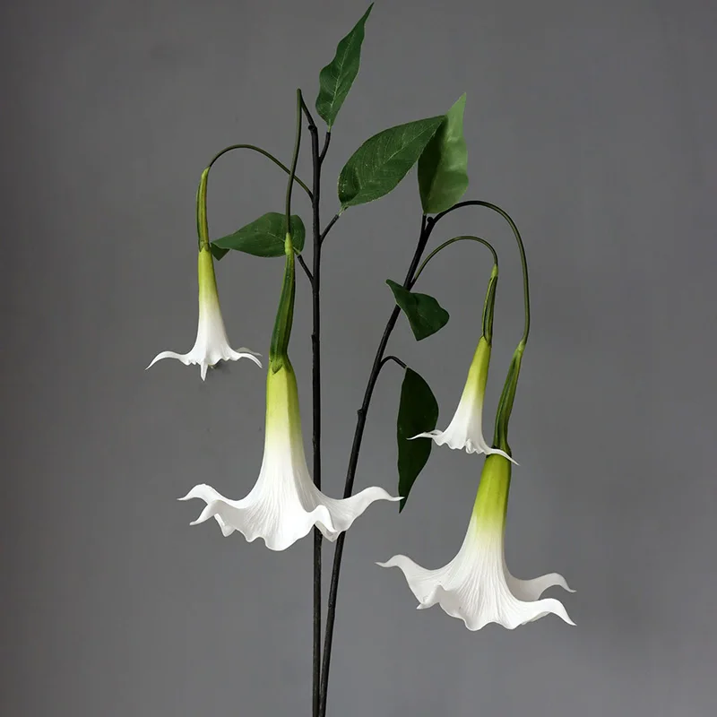 Miniature 5