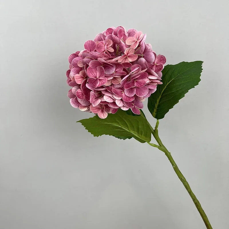 Miniature 11