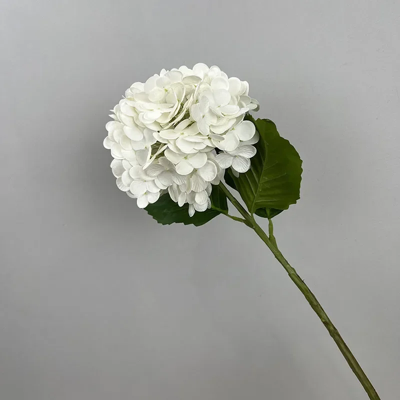 Miniature 12