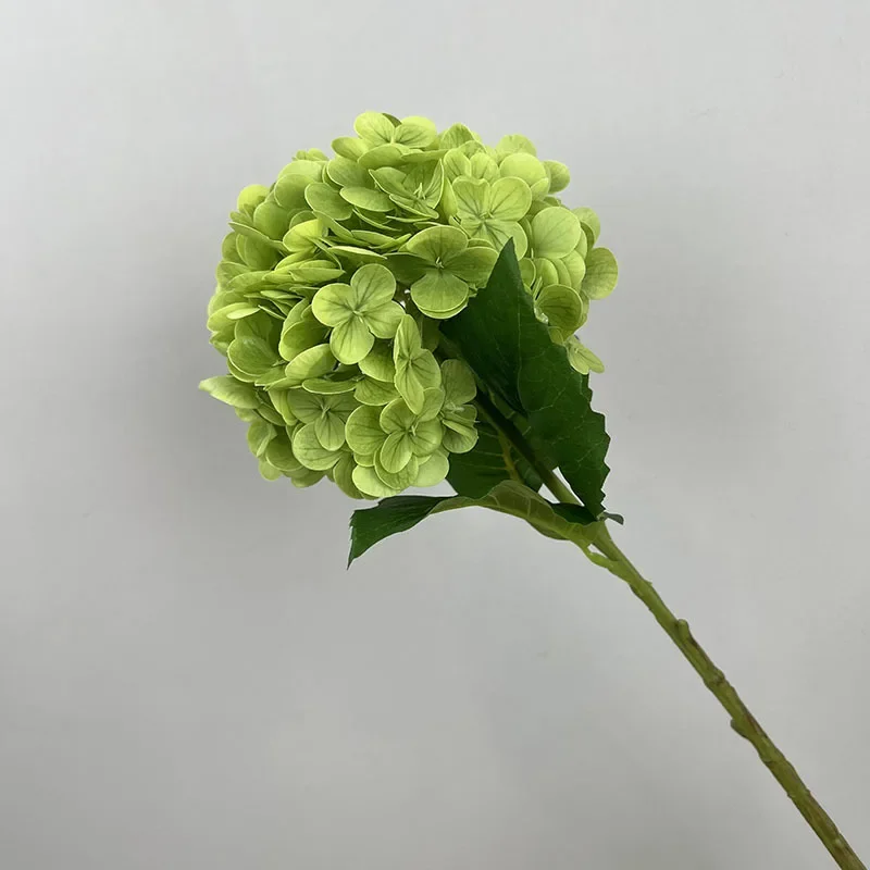 Miniature 13