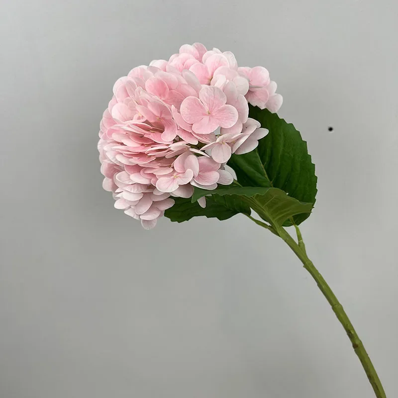 Miniature 14