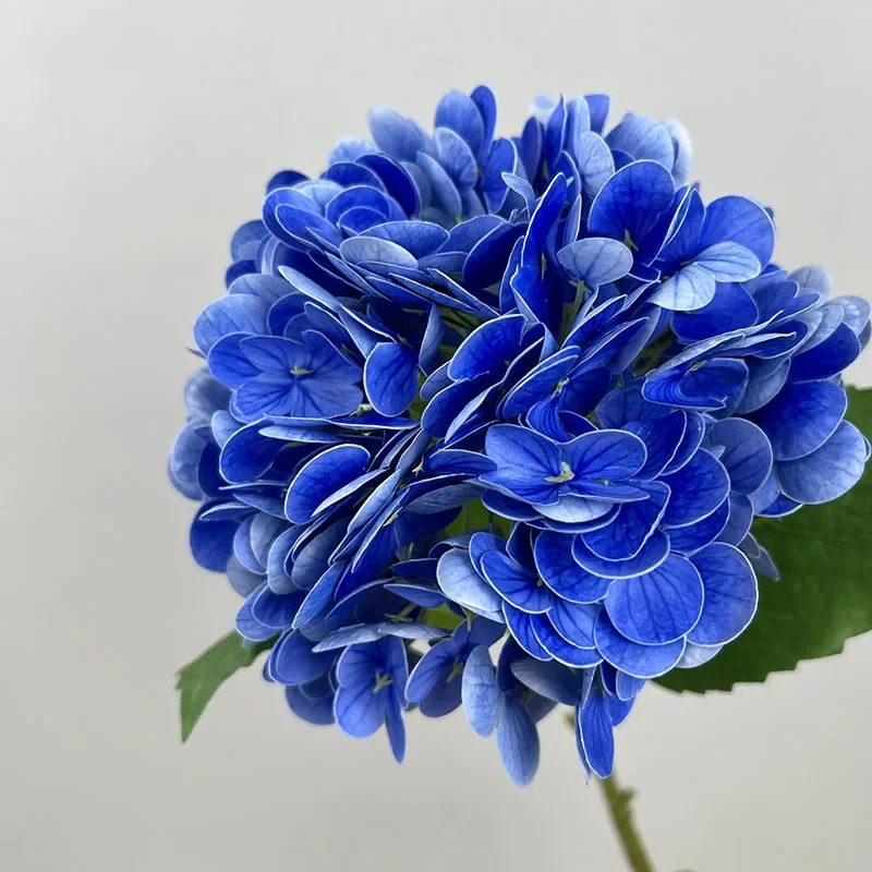 Miniature 15