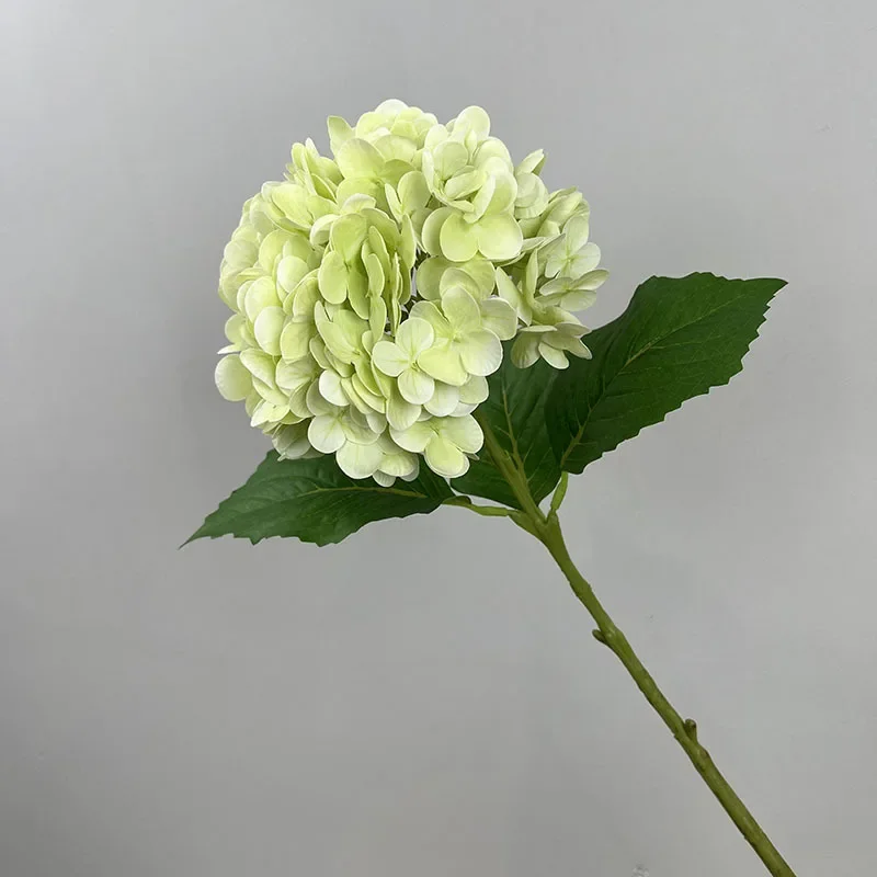 Miniature 7